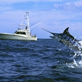 Fishing Boat Equipment